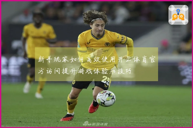 新手玩家如何高效使用开云体育官方访问提升游戏体验和技巧