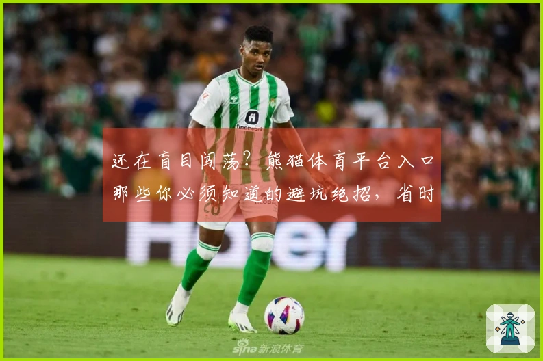 还在盲目闯荡？熊猫体育平台入口那些你必须知道的避坑绝招，省时省力赚翻天！