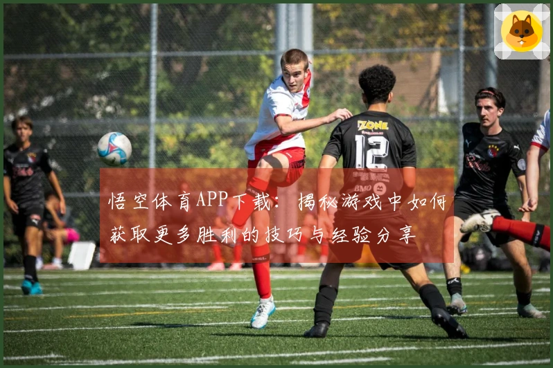 悟空体育APP下载：揭秘游戏中如何获取更多胜利的技巧与经验分享