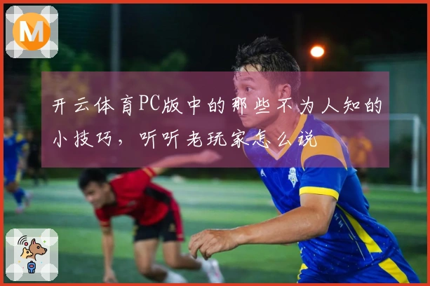 开云体育PC版中的那些不为人知的小技巧，听听老玩家怎么说
