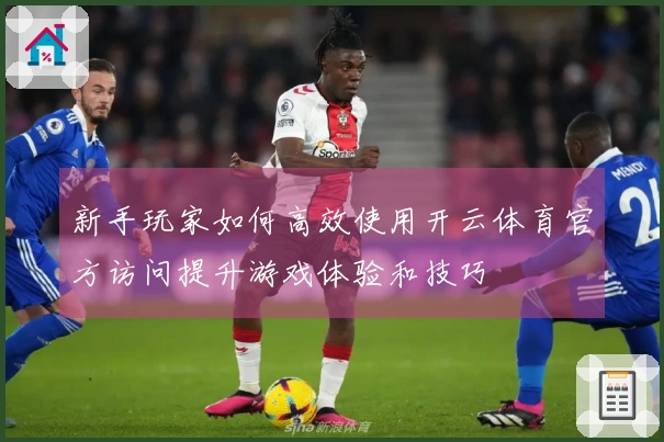 新手玩家如何高效使用开云体育官方访问提升游戏体验和技巧